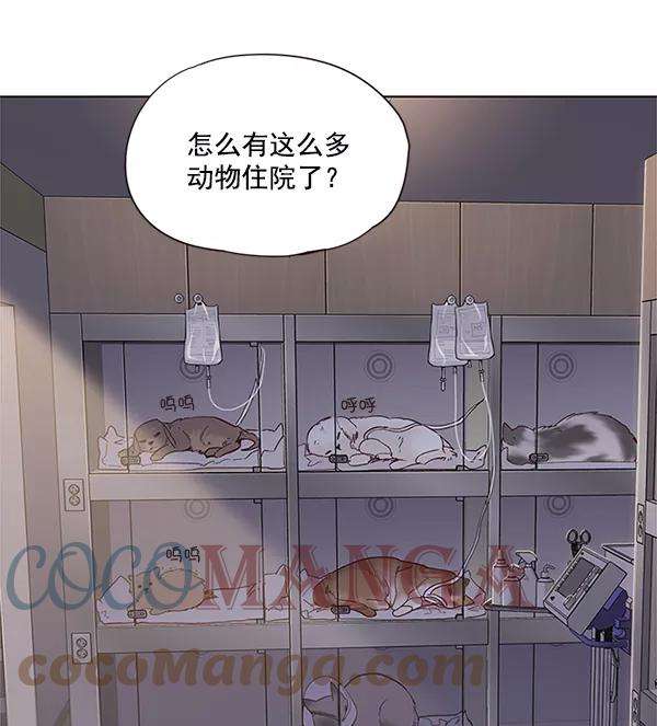 觉醒吧，铲屎官！10话