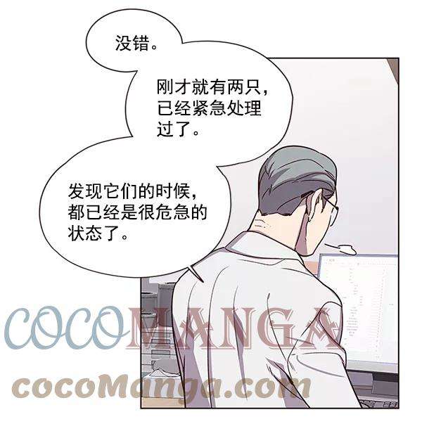 觉醒吧，铲屎官！10话