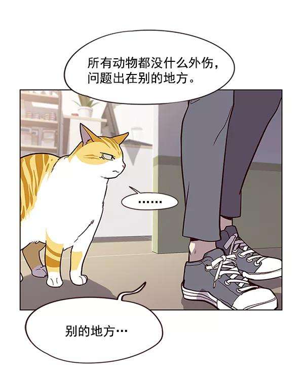 觉醒吧，铲屎官！10话