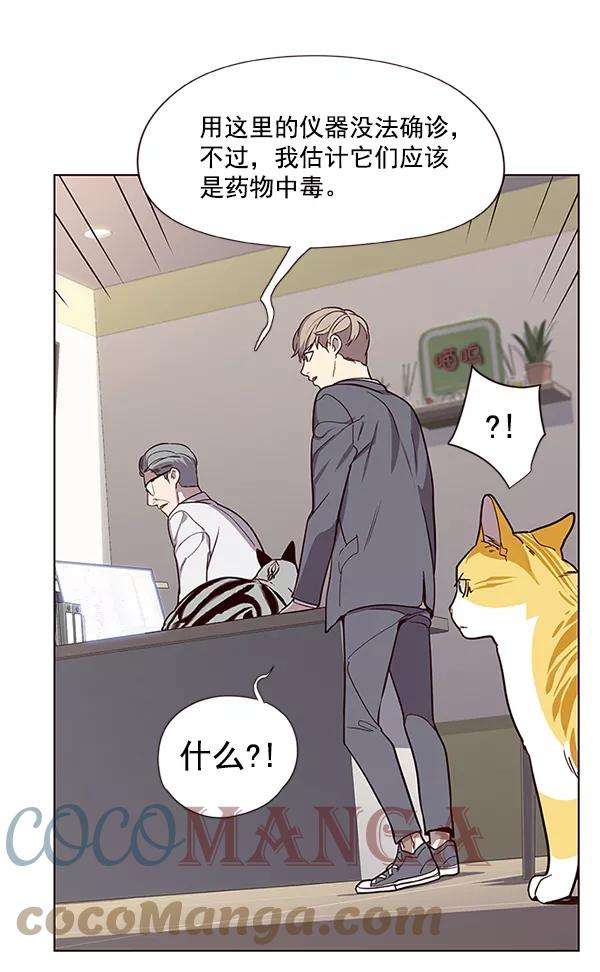 觉醒吧，铲屎官！10话
