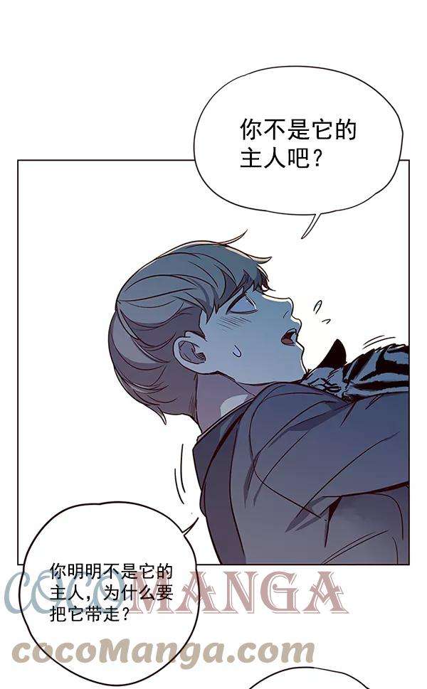 觉醒吧，铲屎官！11话
