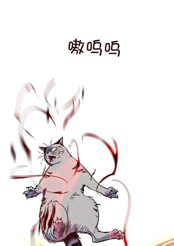 觉醒吧，铲屎官！11话