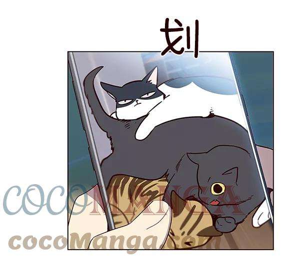 觉醒吧，铲屎官！11话