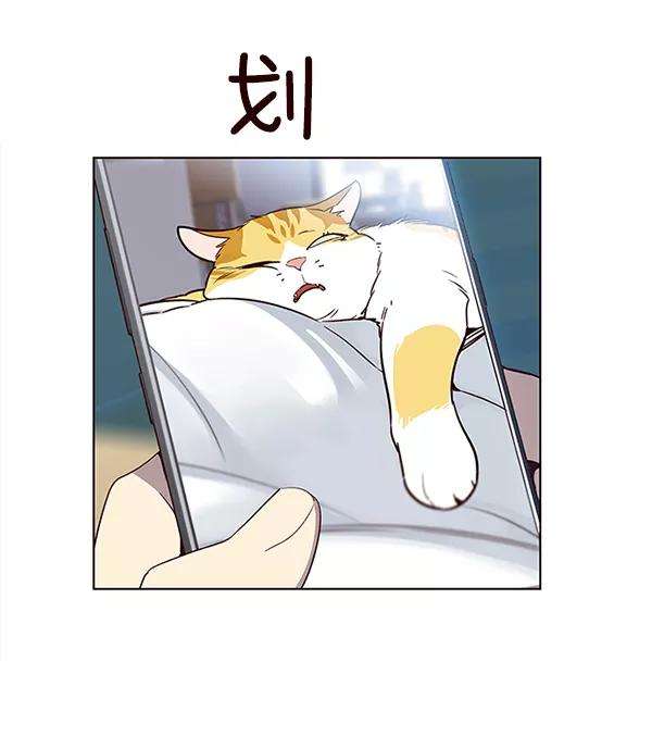 觉醒吧，铲屎官！11话
