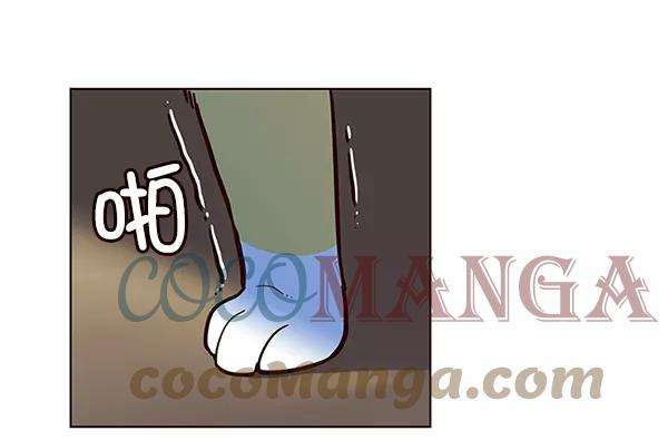 觉醒吧，铲屎官！11话
