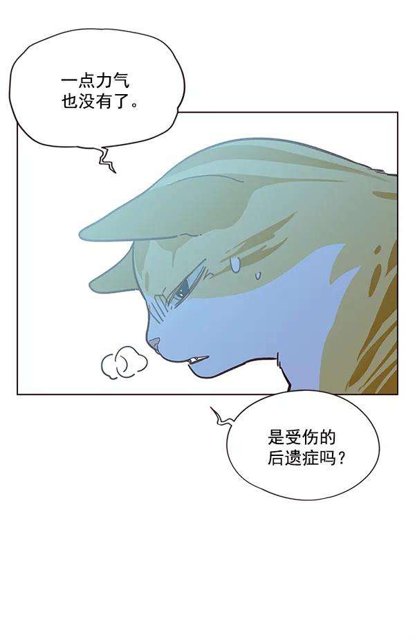 觉醒吧，铲屎官！11话