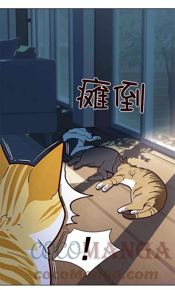 觉醒吧，铲屎官！11话