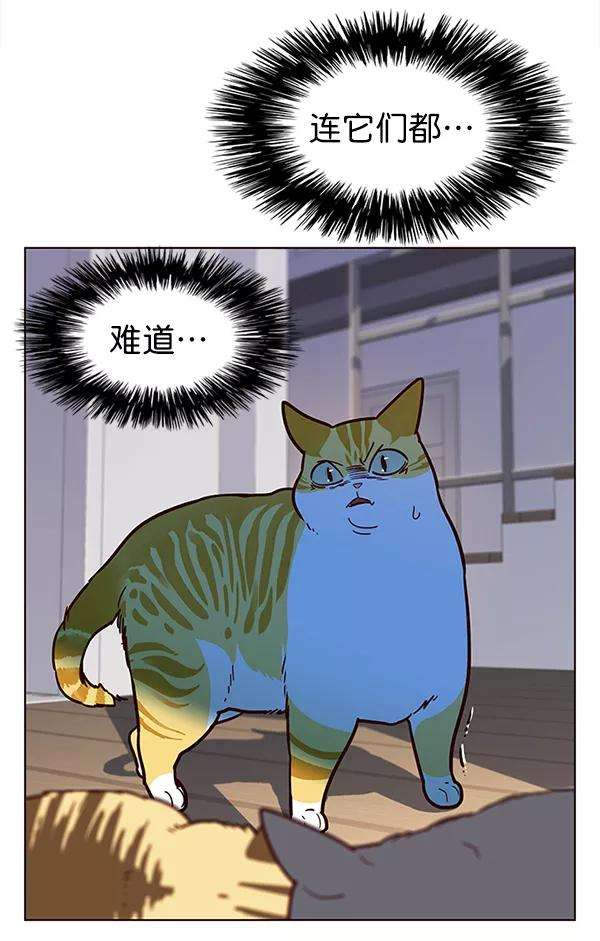 觉醒吧，铲屎官！11话