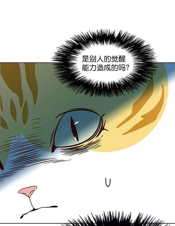 觉醒吧，铲屎官！11话