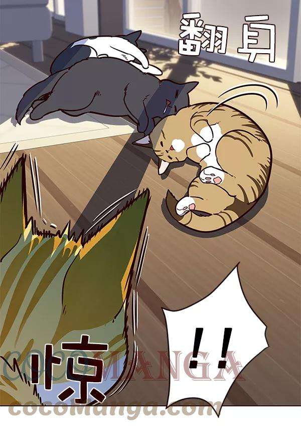 觉醒吧，铲屎官！11话