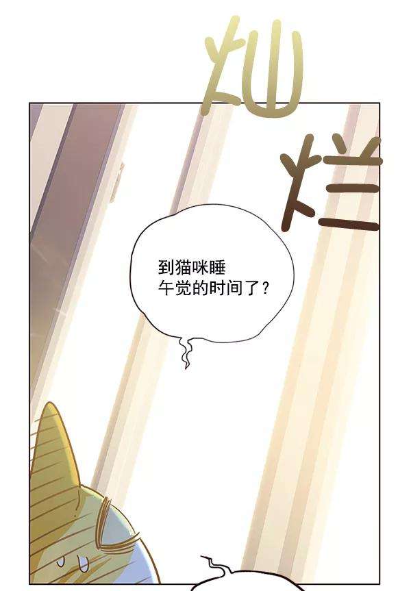 觉醒吧，铲屎官！11话