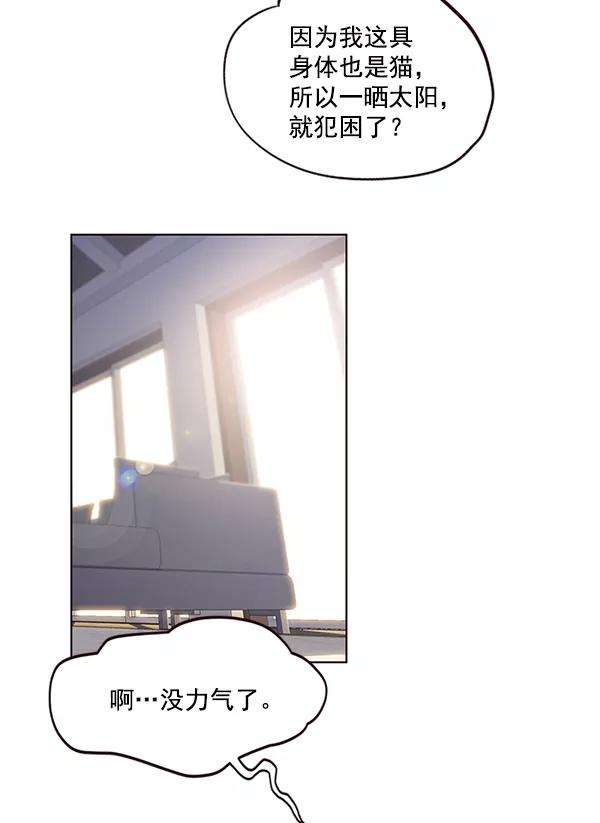 觉醒吧，铲屎官！11话