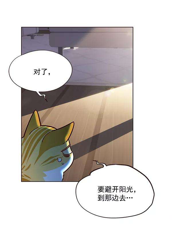 觉醒吧，铲屎官！11话