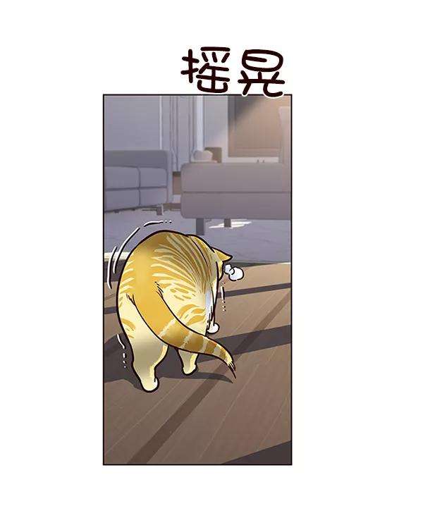 觉醒吧，铲屎官！11话