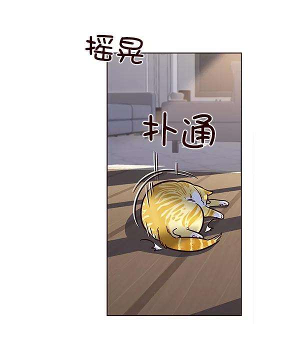 觉醒吧，铲屎官！11话