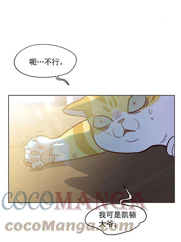 觉醒吧，铲屎官！11话