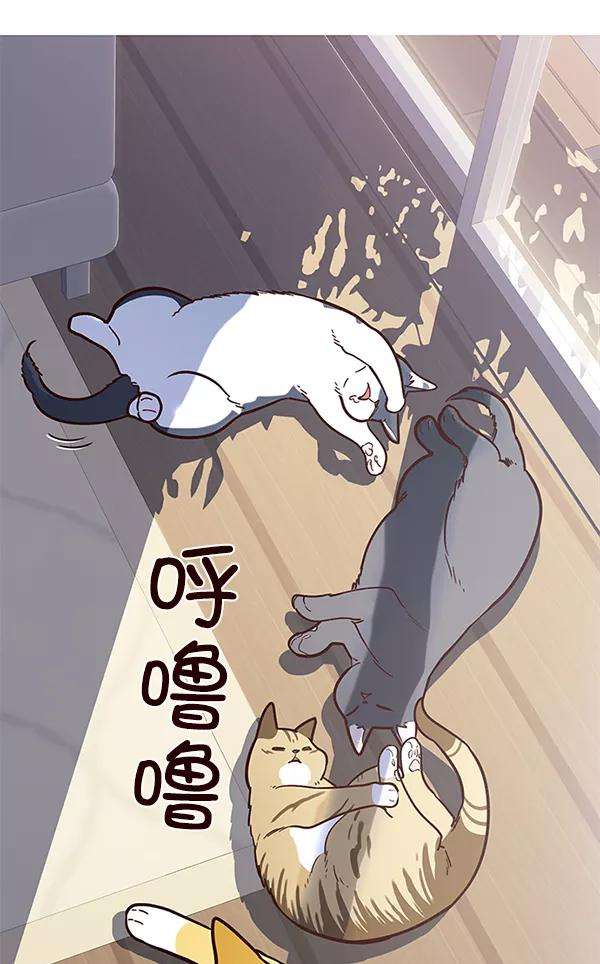觉醒吧，铲屎官！11话