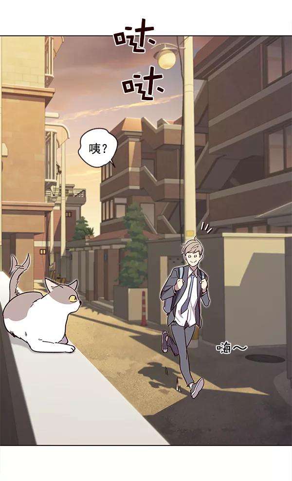 觉醒吧，铲屎官！11话