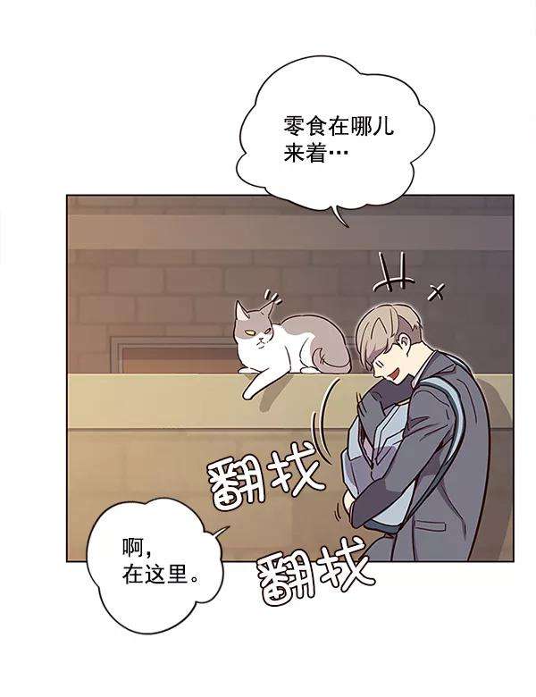觉醒吧，铲屎官！11话