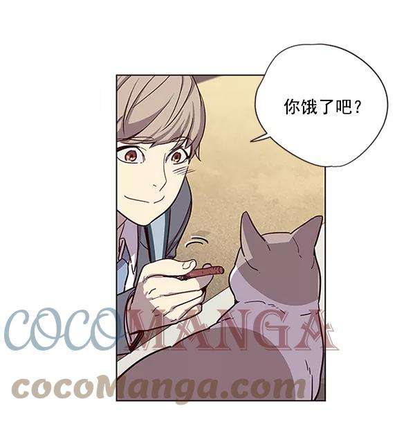 觉醒吧，铲屎官！11话