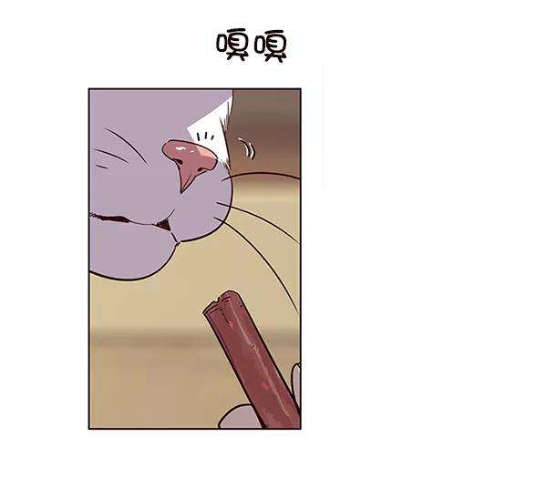 觉醒吧，铲屎官！11话