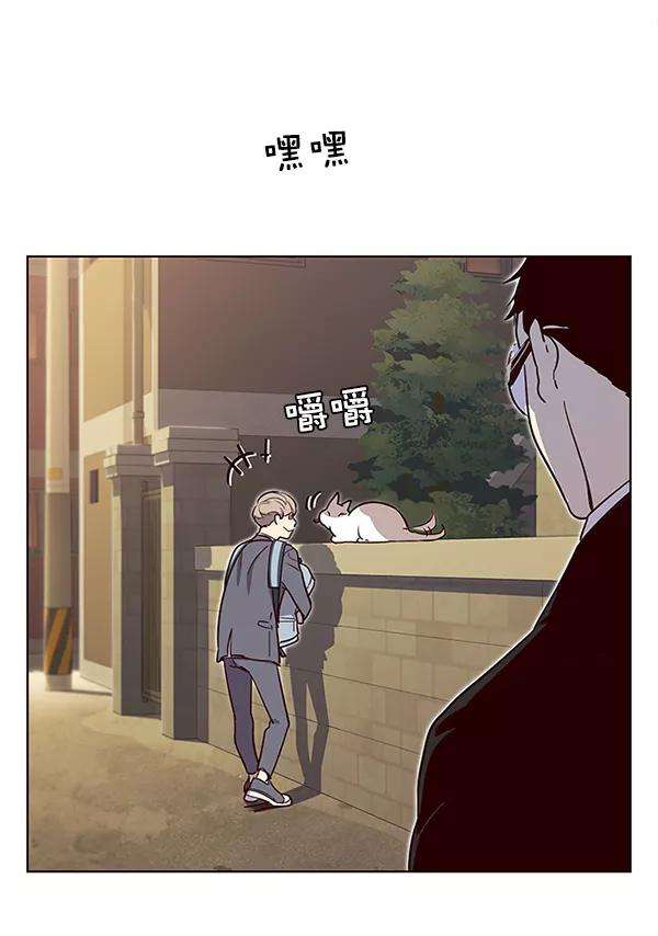 觉醒吧，铲屎官！11话