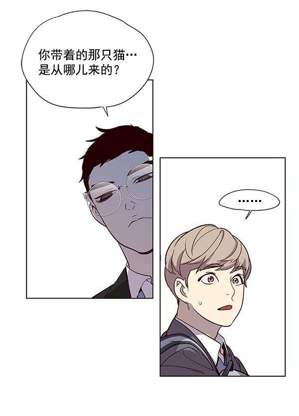 觉醒吧，铲屎官！11话