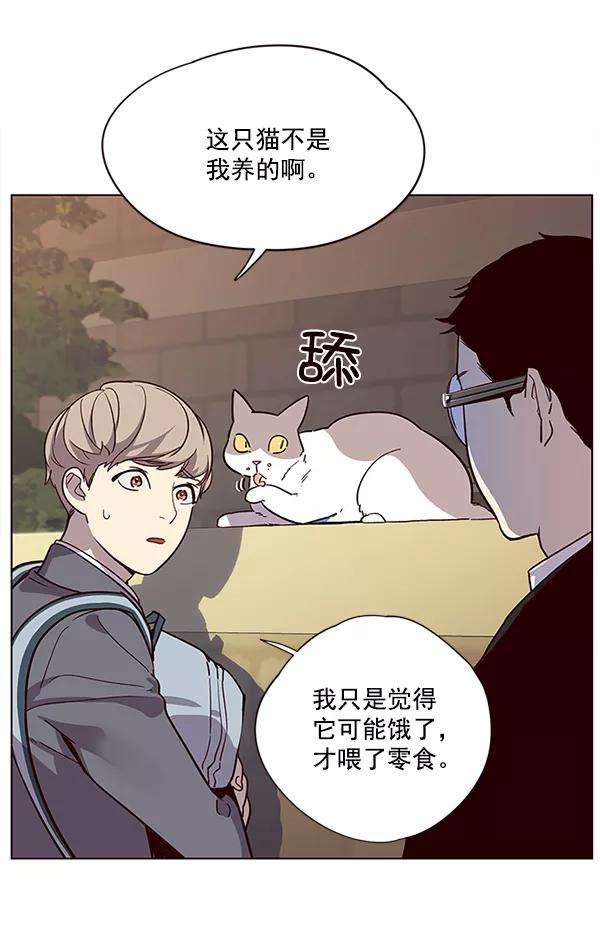 觉醒吧，铲屎官！11话