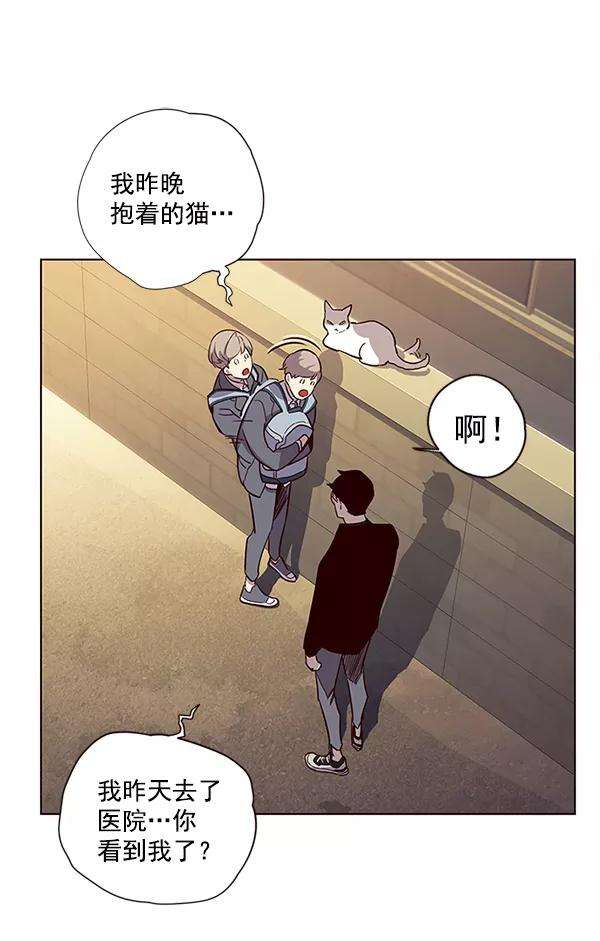 觉醒吧，铲屎官！11话