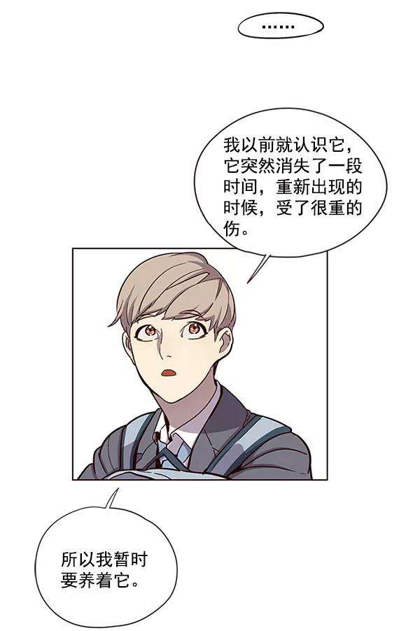 觉醒吧，铲屎官！11话