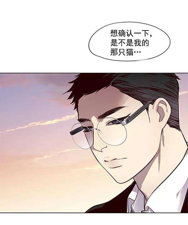 觉醒吧，铲屎官！11话