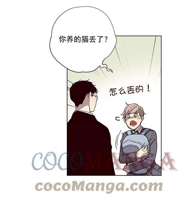 觉醒吧，铲屎官！11话