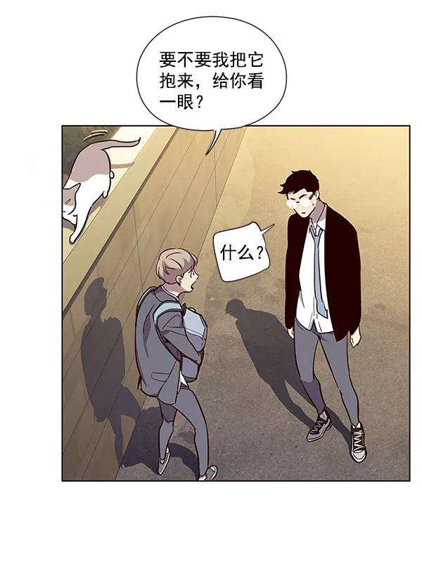 觉醒吧，铲屎官！11话