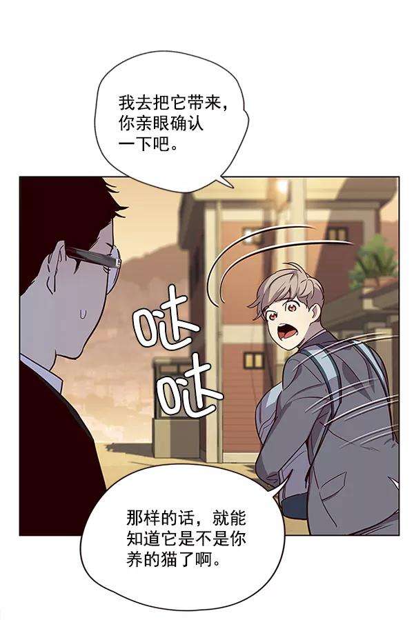 觉醒吧，铲屎官！11话