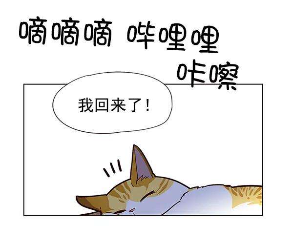 觉醒吧，铲屎官！11话