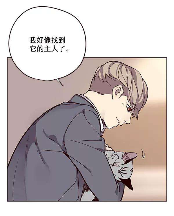 觉醒吧，铲屎官！11话