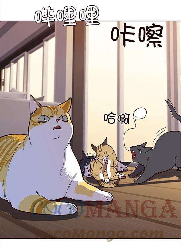 觉醒吧，铲屎官！11话