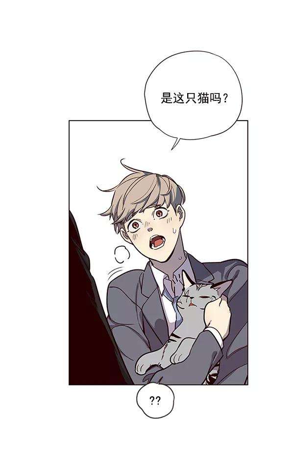 觉醒吧，铲屎官！11话