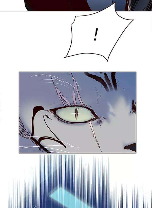 觉醒吧，铲屎官！11话