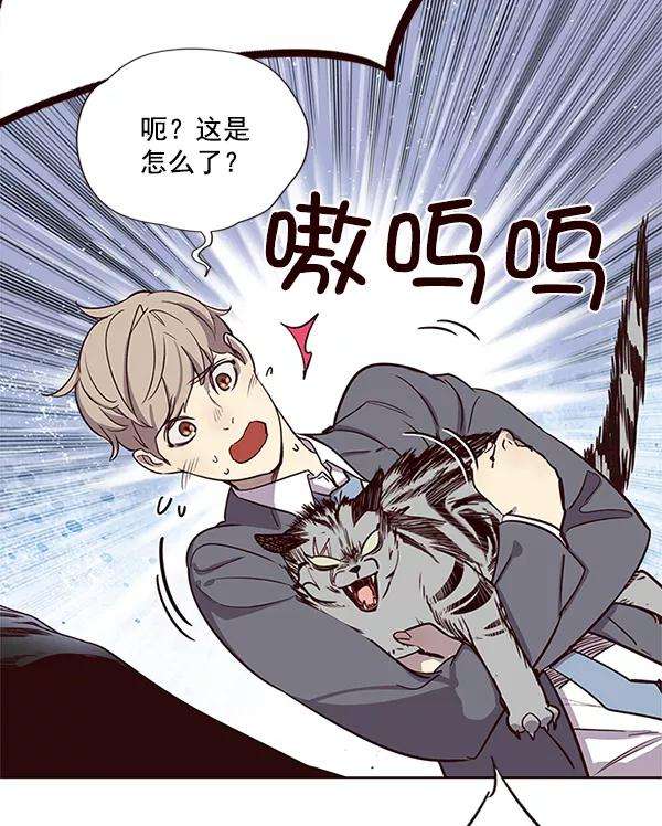 觉醒吧，铲屎官！11话