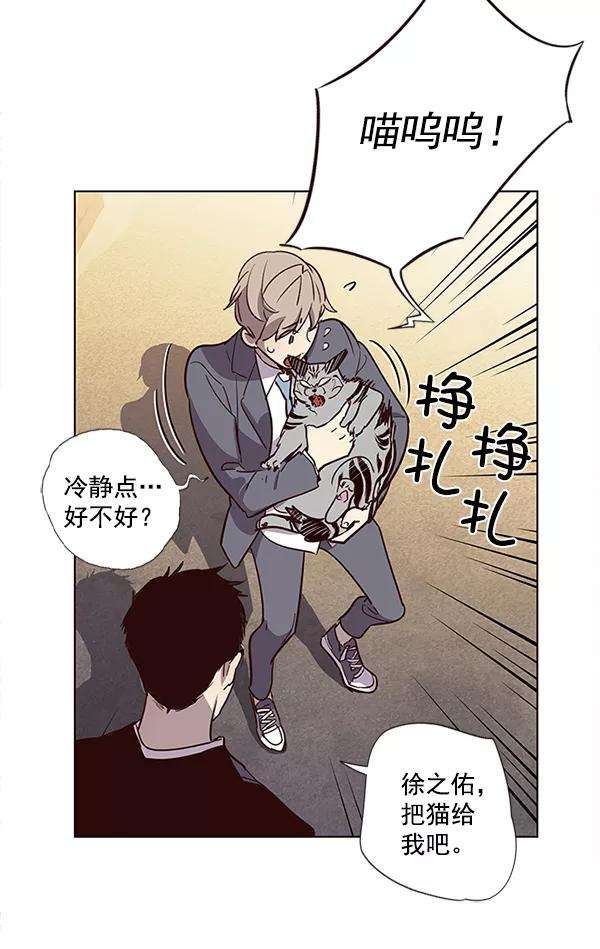觉醒吧，铲屎官！11话
