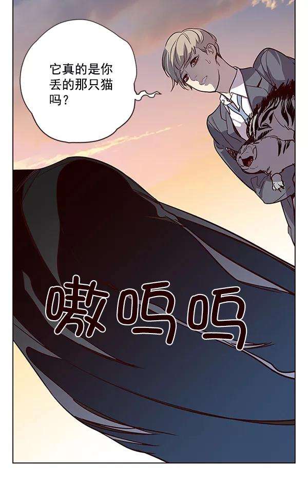 觉醒吧，铲屎官！11话