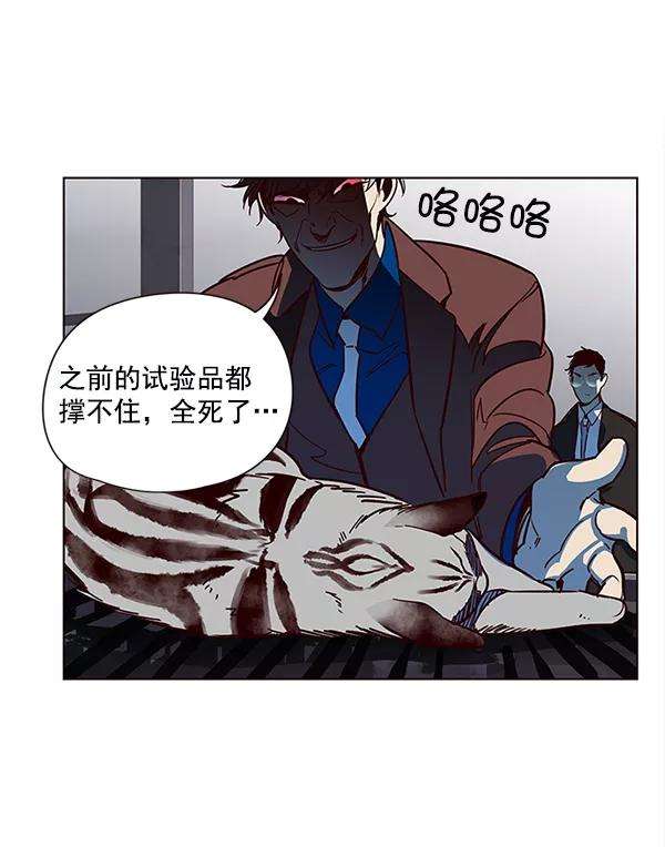 觉醒吧，铲屎官！12话