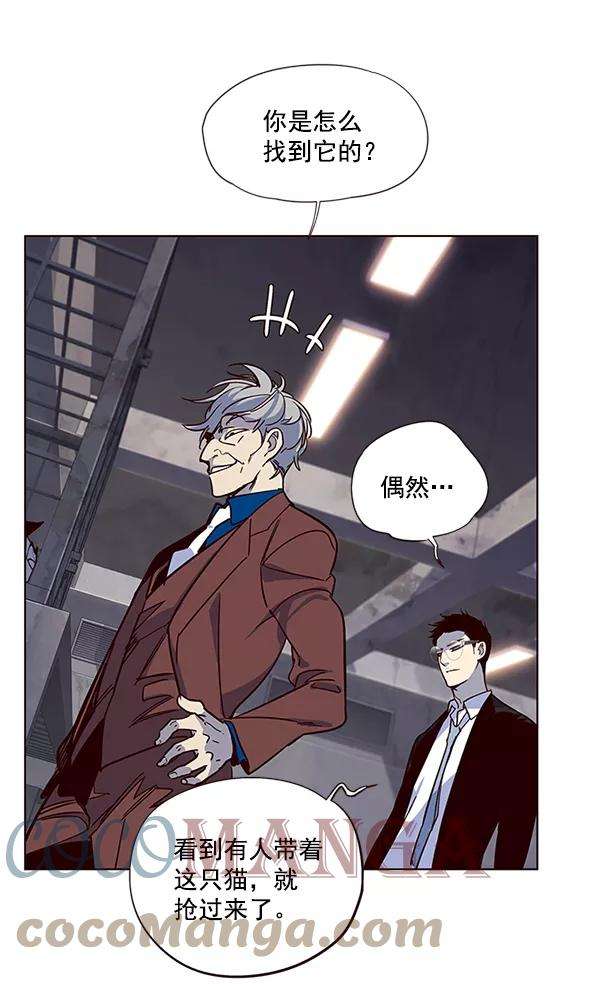 觉醒吧，铲屎官！12话