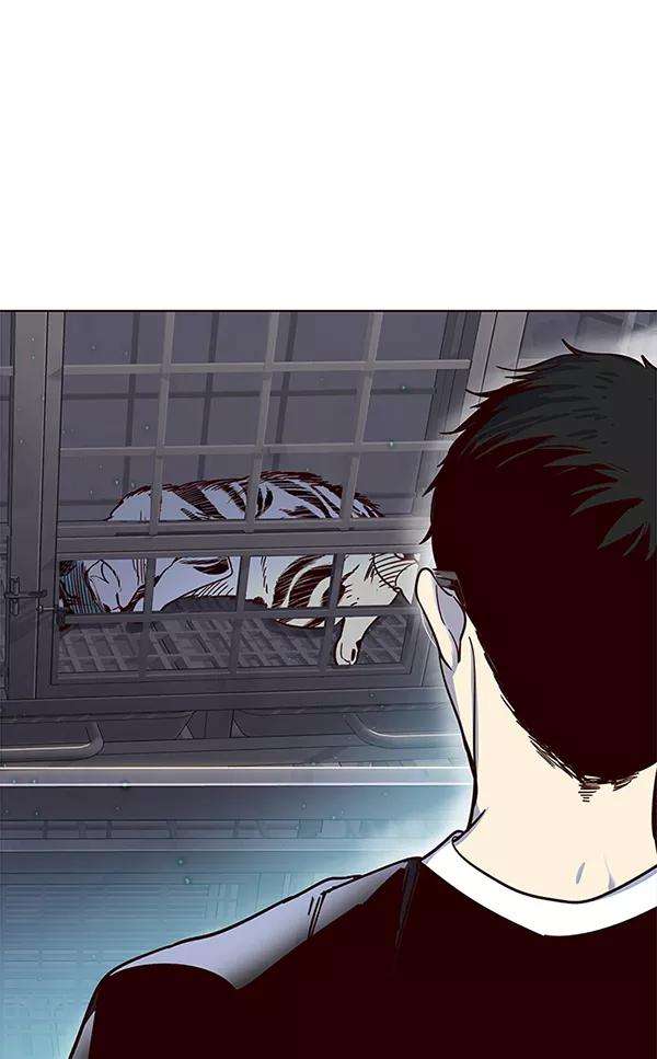 觉醒吧，铲屎官！12话