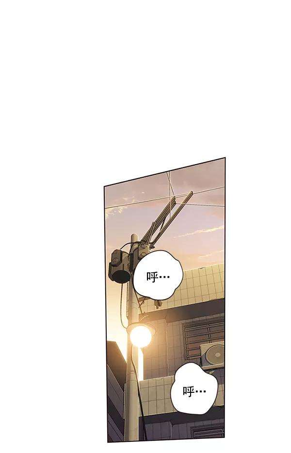 觉醒吧，铲屎官！12话