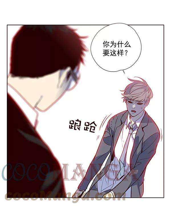 觉醒吧，铲屎官！12话