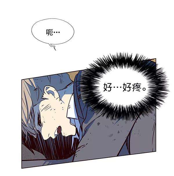 觉醒吧，铲屎官！12话