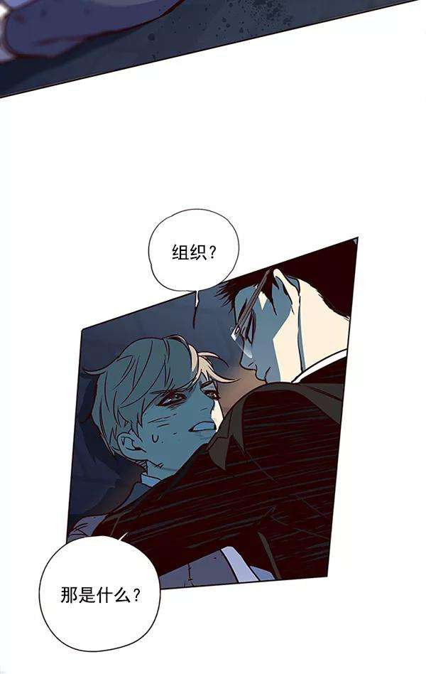 觉醒吧，铲屎官！12话