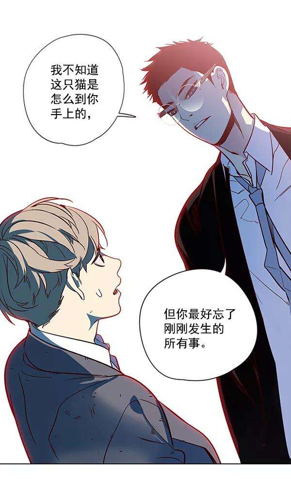 觉醒吧，铲屎官！12话